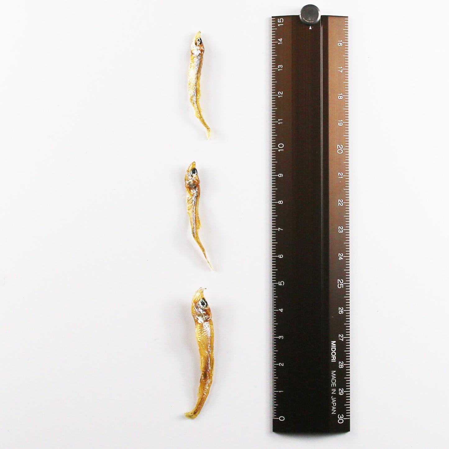 Japanese pond smelt